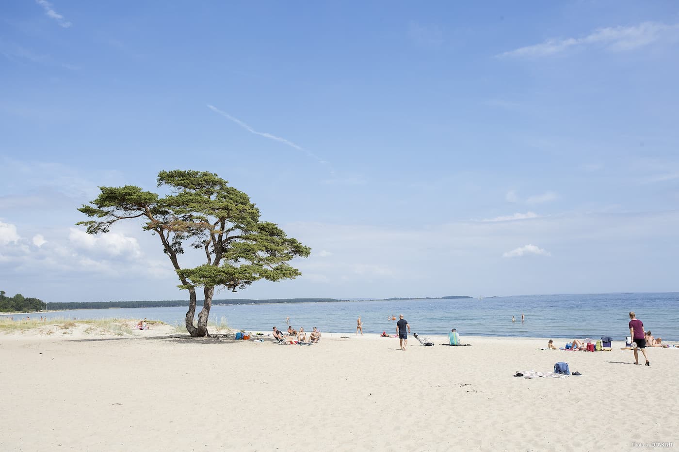 Strandnära camping i Åhus i Kristianstad