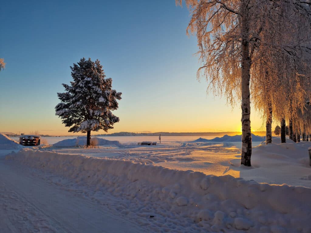 Vinter på First Camp Arcus - Luleå