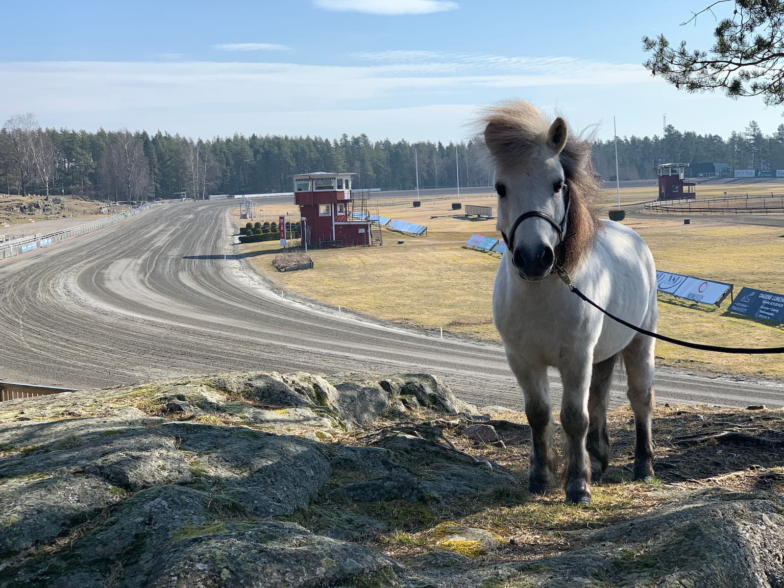 travskola Sommarvik - Årjäng