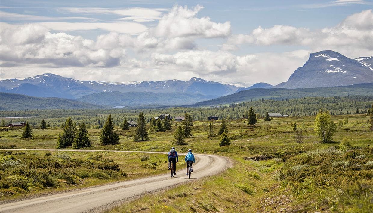 Fietser op de Mjølkevegen in Valdres bij Beitostølen door berglandschap