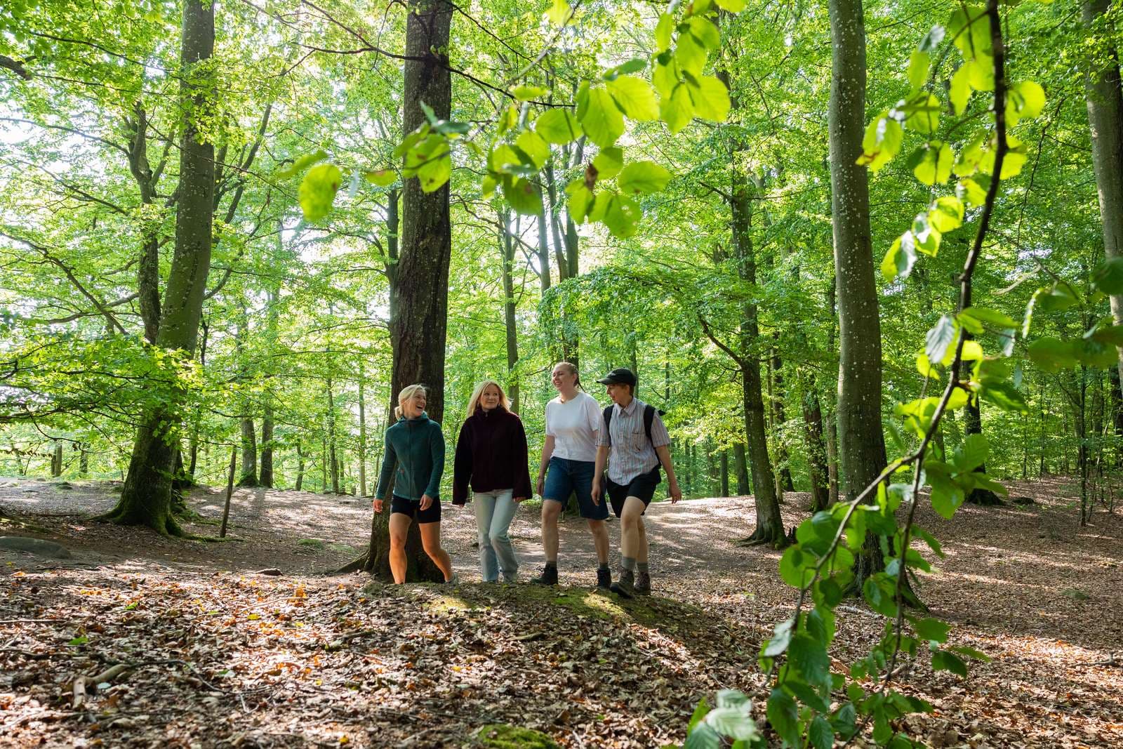 Röstånga - Söderåsen natur