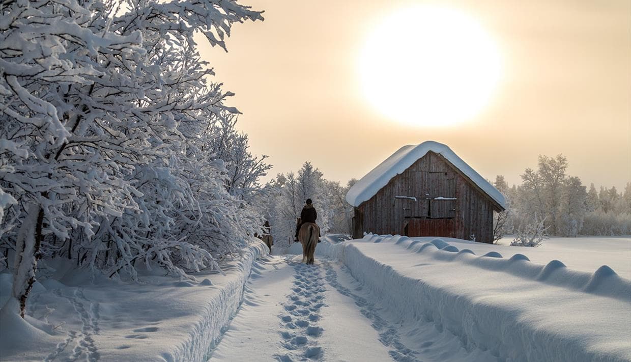 Paardrijden in besneeuwd berglandschap bij Beitostølen
