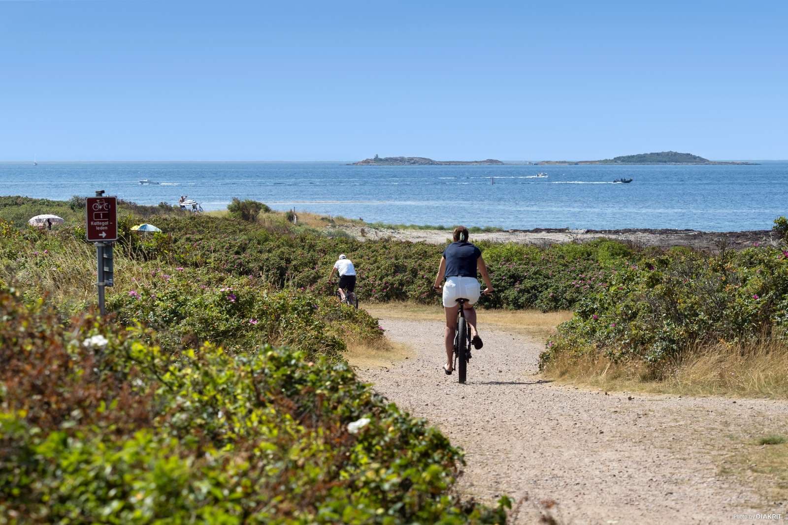 Camping i Torekov nära havet och Båstad på Bjärehalvön