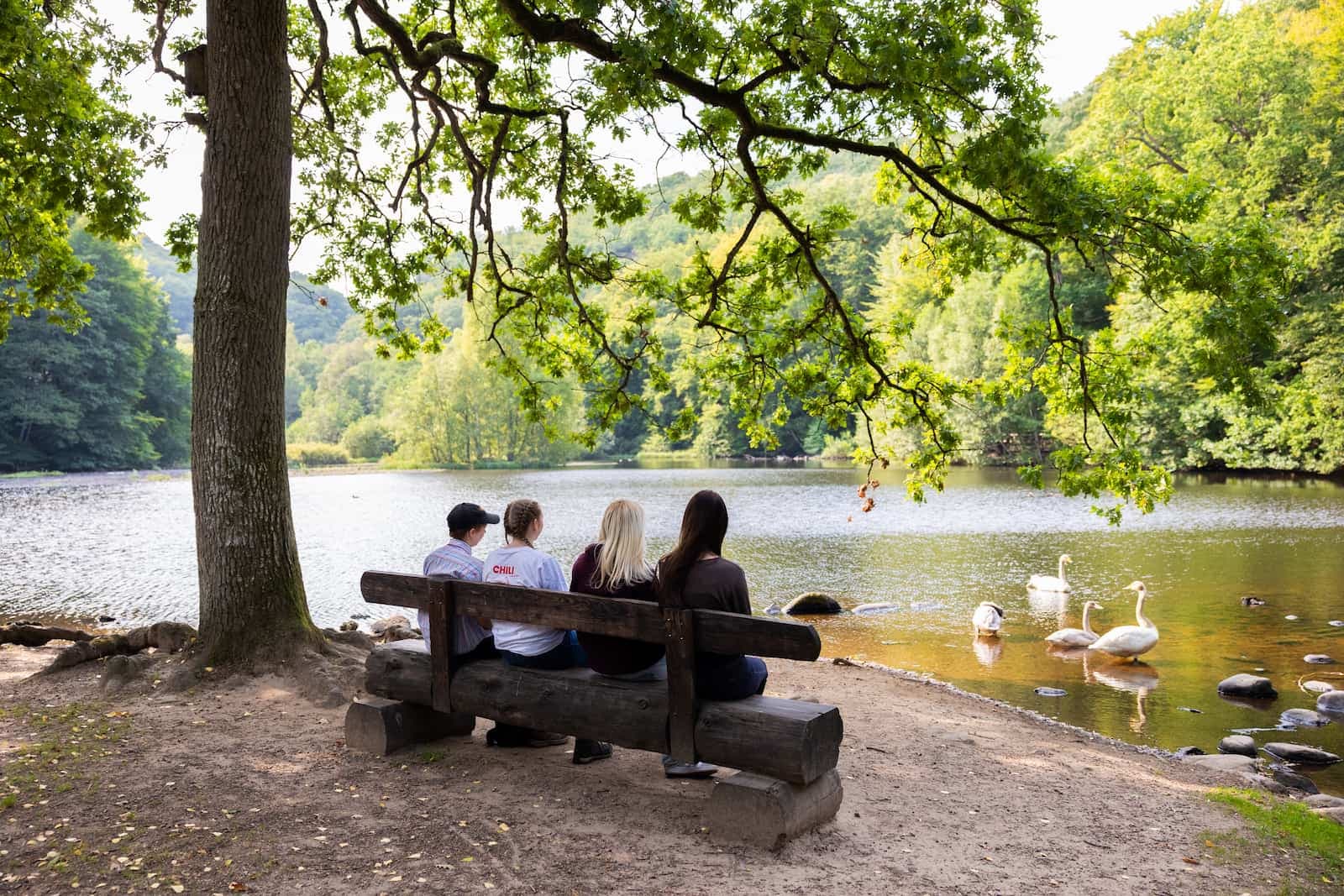 Wandelroute in Nationaal Park Söderåsen bij Röstånga in Zweden