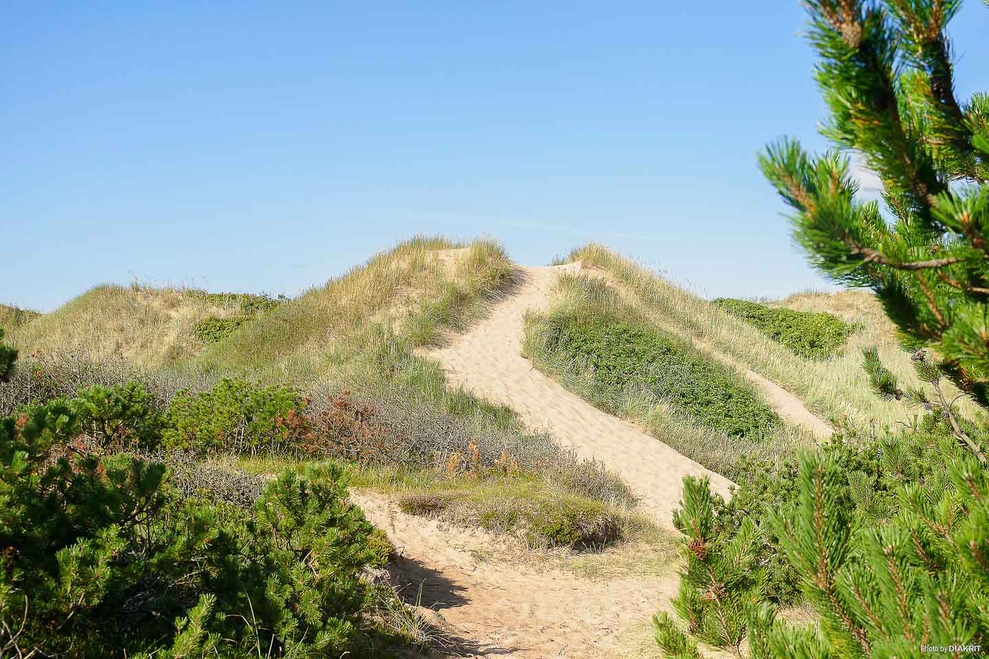 Kustwandelroute bij Tylösand in Halland