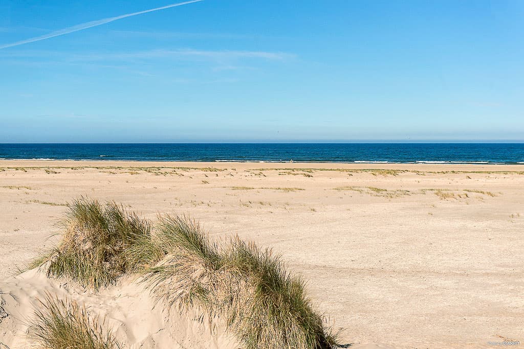 Wandelroute in Nationaal Park Waddenzee op Rømø