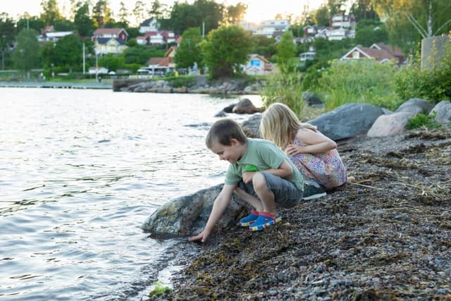 First Camp Kolmården – Norrköping – camping nära djurpark och Bråviken med stugor och naturnära upplevelser.