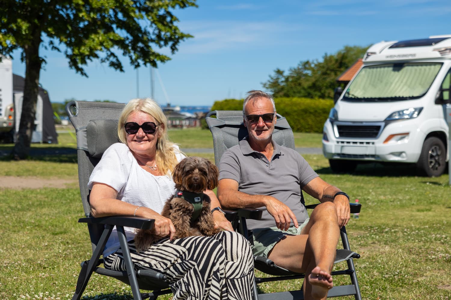 Solig dag på den hundvänliga campingen i Gränna