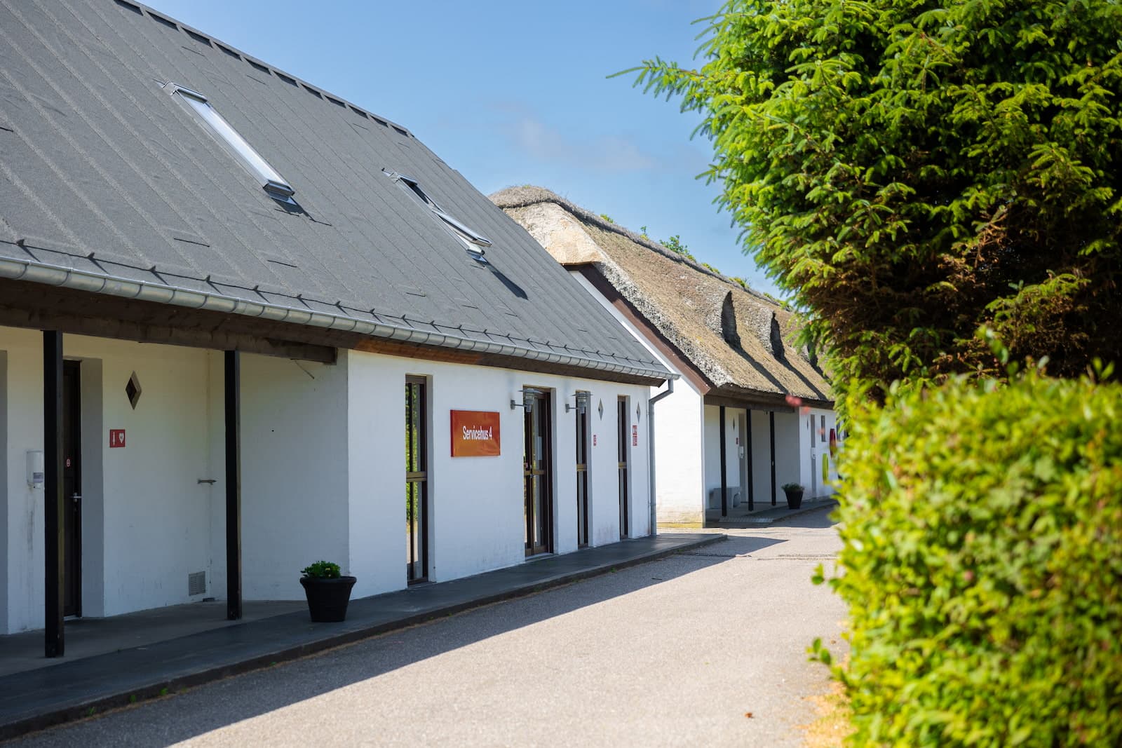 First Camp Klim Strand – populær campingplads på Nordvestkysten med badeland, strand og aktiviteter for børn.
