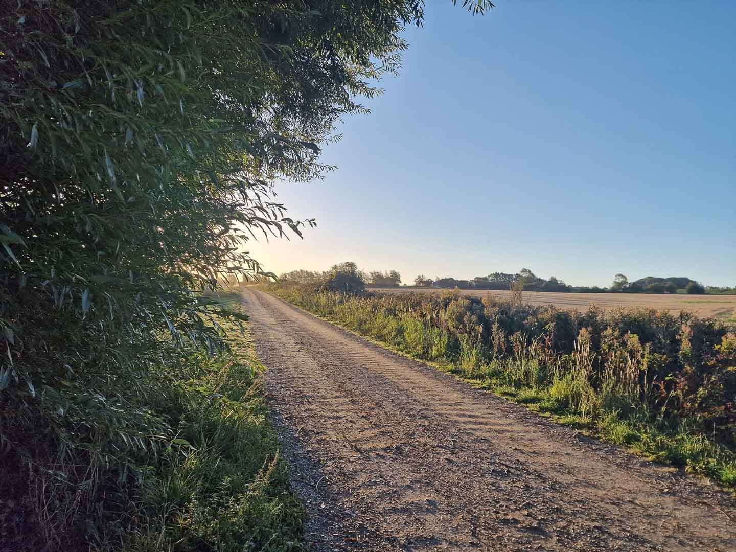 Wandelroute in de Svanninge Bakker op Funen