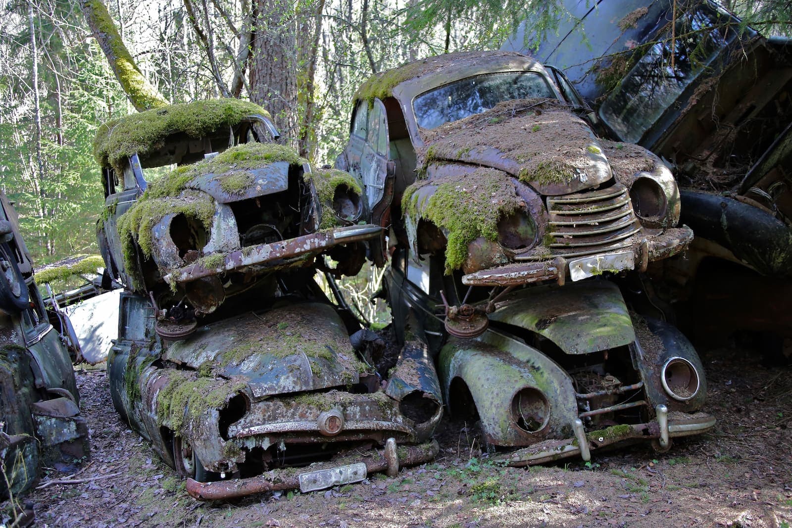 Bilkyrkogård Årjäng - Sommarvik