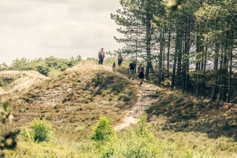 Foto: Pressfoto av Bjarke Petersen för Visit Rømø & Tønder